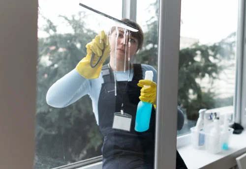 Nettoyage de vitres intérieures et extérieures à Budelière